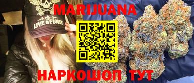 индика Моздок