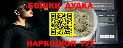 индика Моздок