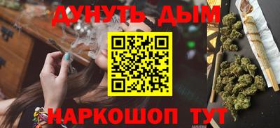 индика Моздок